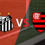 Santos-vs-Flamengo